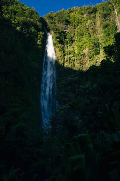 鬱蒼とした竹林を通って 有名なWaimoku滝につながります ハワイ州マウイ島のハレアカラ国立公園にある人気のピピワイトレイル — ストック写真