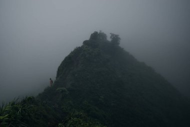 Hawaii 'deki Oahu adasındaki Koolau Dağları' nın zirvesinden bir görüntü. Yüksek kalite fotoğraf