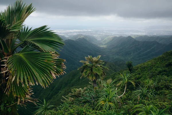 Vista Desde Cima Cordillera Koolau Isla Oahu Hawai Foto Alta — Foto de Stock