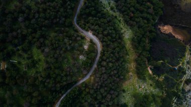 Yeşil yaz ormanındaki kır yolunun havadan görünüşü. Yüksek kalite fotoğraf