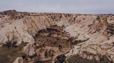Gül vadisi Goreme Kapadokya hindisi. Yüksek kalite fotoğraf