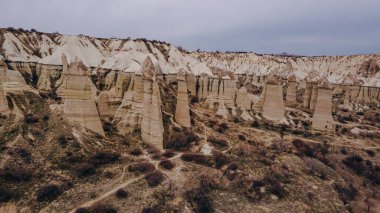 Gül vadisi Goreme Kapadokya hindisi. Yüksek kalite fotoğraf