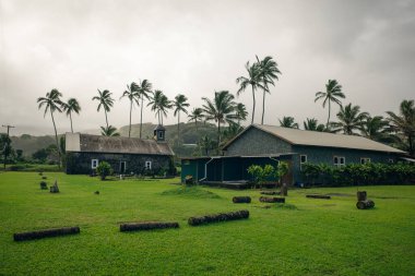 Hawaii, Maui 'deki Hana yolunda Keanae sahilinde siyah lav kayaları var.