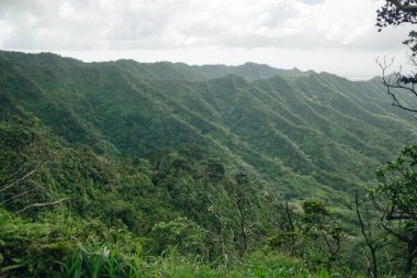 Hawaii 'deki Oahu adasındaki Koolau Dağları' nın zirvesinden bir görüntü. Yüksek kalite fotoğraf