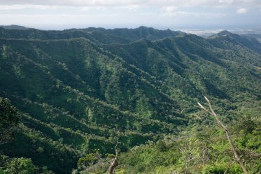 Hawaii 'deki Oahu adasındaki Koolau Dağları' nın zirvesinden bir görüntü. Yüksek kalite fotoğraf