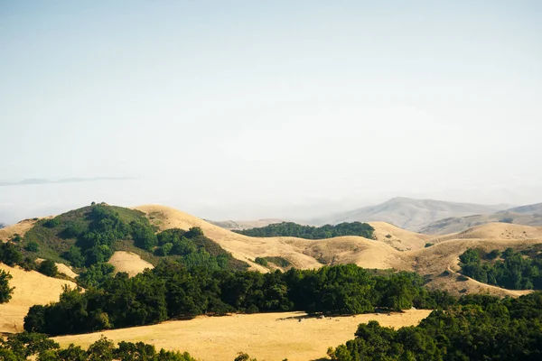 Campi Asciutti Nelle Montagne Della California Stati Uniti Foto Alta — Foto Stock