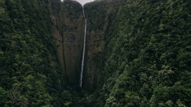 The 1450 ft tall Hi'ilawe waterfall in the Waipio Valley. Big Island, Hawaii clipart