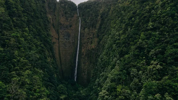 1450 Láb Magas Ilawe Vízesés Waipio Völgyben Big Island Hawaii — Stock Fotó