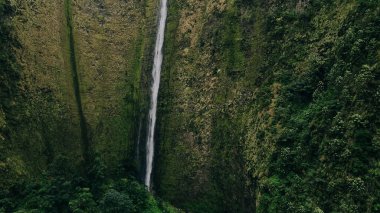 The 1450 ft tall Hi'ilawe waterfall in the Waipio Valley. Big Island, Hawaii clipart