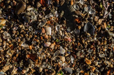  Pasifik kıyısındaki Glass Beach. Fort Bragg, Kaliforniya, ABD. Yüksek kalite fotoğraf