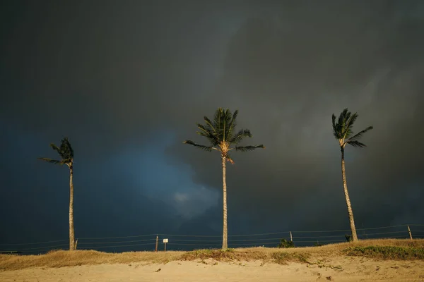 Hawaii Oahu Island Maili Beach Park High Quality Photo — Stock Photo, Image