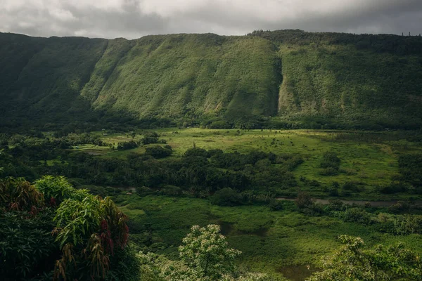 Waipio Valley Kilátás Big Island Hawaii — Stock Fotó