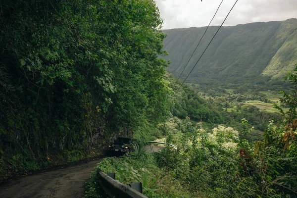 하와이의 와이피오 계곡의 — 스톡 사진