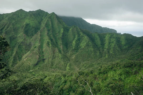 Hawaii 'deki Oahu adasındaki Koolau Dağları' nın zirvesinden bir görüntü.