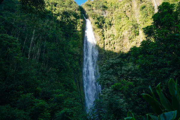 Népszerű Pipiwai nyomvonal a Haleakala Nemzeti Parkban Mauin, Hawaii, USA — Stock Fotó