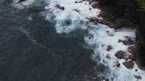 夏威夷的一片漆黑的玄武岩上飘扬着海浪 — 图库视频影像