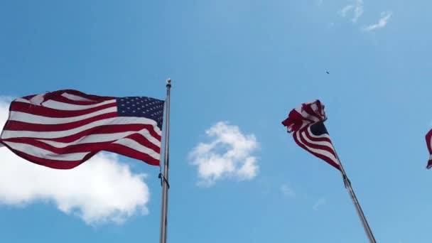 Американские флаги, дующие на ветру с голубым небом. — стоковое видео