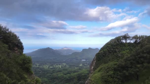 鸟瞰图景努瓦努Pali Lookout 。夏威夷的天堂漂亮的镜头. — 图库视频影像