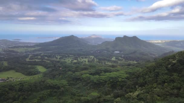 Повітряний вид на Scenic Nuuanu Pali Lookout. Гаваї рай. Гарний постріл. — стокове відео