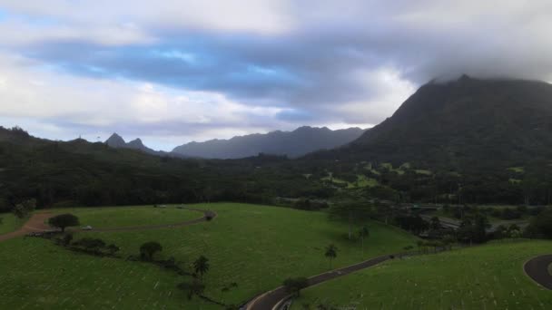 Долина Меморіального парку Храми Оаху Гаваї — стокове відео