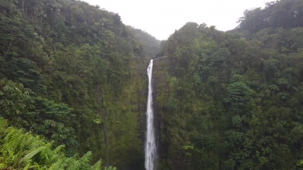 Εναέρια άποψη του Honokohau Falls στο Maui. χαβαϊ — Αρχείο Βίντεο
