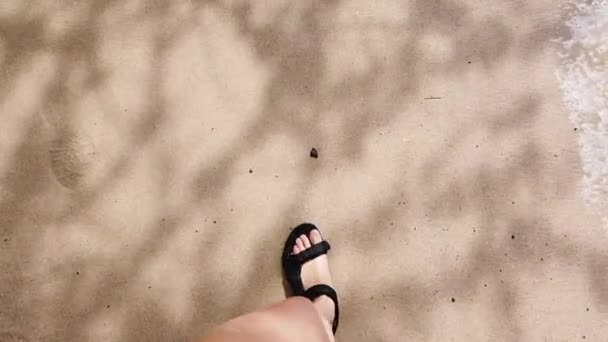 Κορίτσι περπατά κατά μήκος της παραλίας με σανδάλια στη Χαβάη. πρώτη όψη — Αρχείο Βίντεο