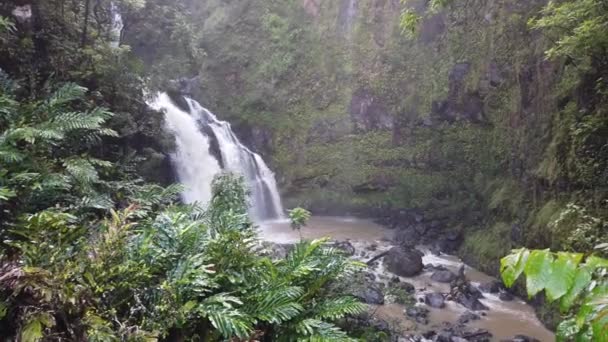 Hawaii Şelalesi Sinema Döngüsü Yağmur Ormanı, Maui, Hawaii — Stok video