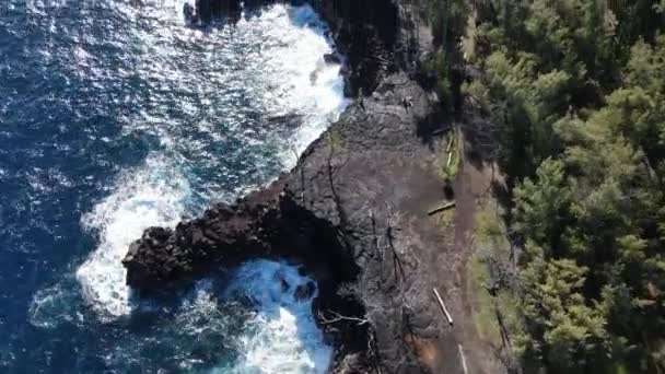 Gran ola que se estrella contra los acantilados de lava en MacKenzie State Recreation Área, PAHOA, HAWAII — Vídeo de stock