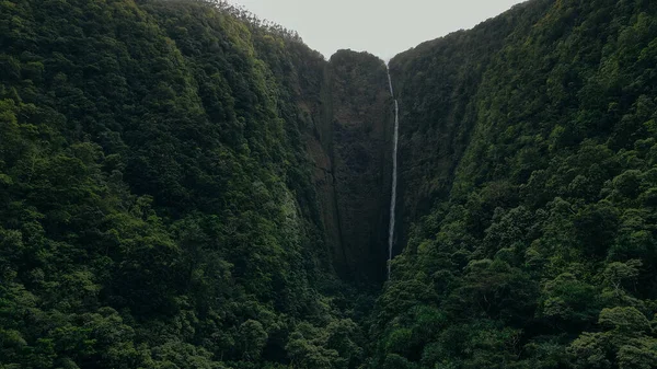 The 1450 ft tall Hi\'ilawe waterfall in the Waipio Valley. Big Island, Hawaii
