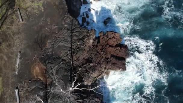 Hullám zuhant láva sziklák MacKenzie állam szabadidős terület, HAWAII — Stock videók