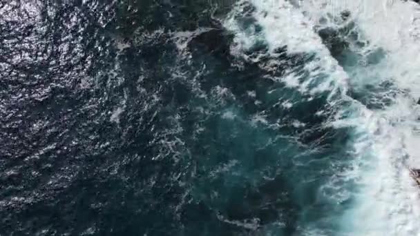 Хвиля врізається в лавові скелі на Гаваях — стокове відео
