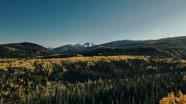 Vue Aérienne Parc National Denali Images Haute Qualité — Photo