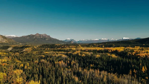 Vue Aérienne Parc National Denali Images Haute Qualité — Photo