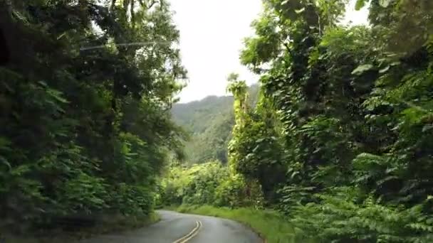 Maui Hawaii Tropical Coastal Road rijden. AutoPov — Stockvideo