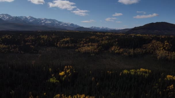 Denali Milli Parkı 'nın havadan görünüşü — Stok video