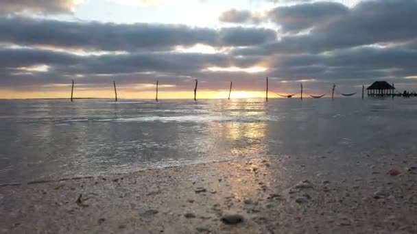 Maias Riviera Palmeiras Praia Pôr Sol Ilha Holbox Mar Caribe — Vídeo de Stock