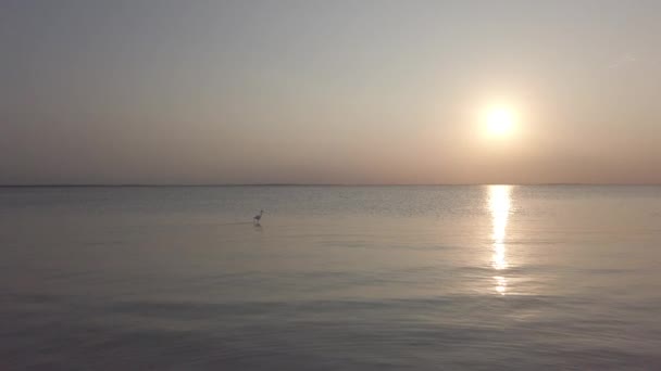 Sunset at Holbox island in Caribbean sea of Mexico — Stock Video