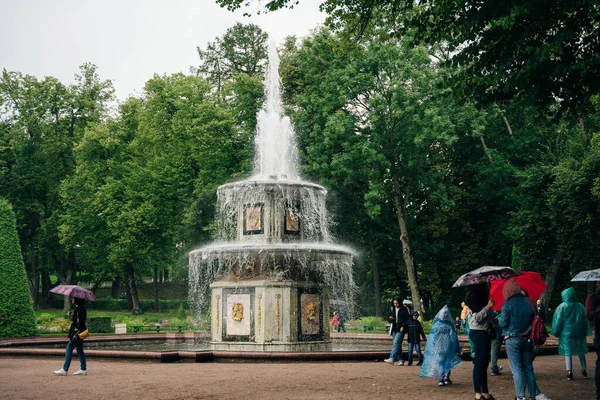 Peterhof São Petersburgo Fontes Romanas Dias Chuvosos Foto Alta Qualidade — Fotografia de Stock