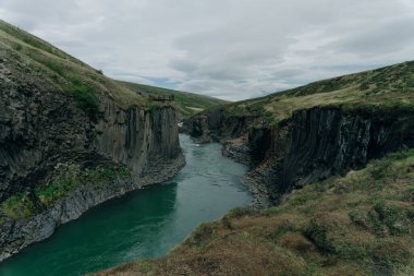 İzlanda, Studlagil Kanyonu 'ndan geçen Yeşil Nehir. Yüksek kalite fotoğraf