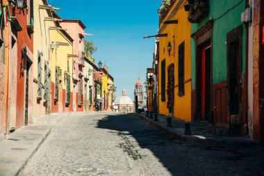 Huş ağacı korusunda yürüyüş yolu. Yüksek kalite fotoğraf