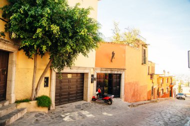 Huş ağacı korusunda yürüyüş yolu. Yüksek kalite fotoğraf