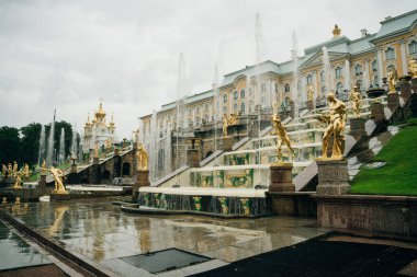 Yağmurlu bir günde Büyük Peterhof Sarayı 'na ev sahipliği yapan Peterhof (Petergof). Saint Petersburg, Rusya - Ağustos, 2021. Yüksek kalite fotoğraf