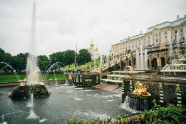 Yağmurlu bir günde Büyük Peterhof Sarayı 'na ev sahipliği yapan Peterhof (Petergof). Saint Petersburg, Rusya - Ağustos, 2021. Yüksek kalite fotoğraf
