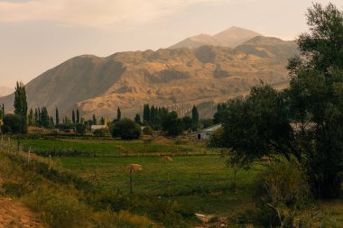 Kyzyl Oi Village, Kyrgyzstan - 25th august 2025. High quality photo
