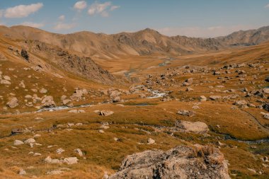 Kurumduk valley, Naryn province, Kyrgyzstan, Central Asia. High quality photo