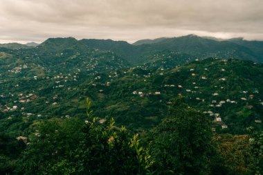 travel to Georgia - green trees and view of Batumi city with suburb from Sameba hill on autumn day. High quality photo
