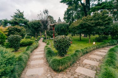 Batum, Gürcistan - 4 Mayıs 2025 Japon bahçesi parkta. Yüksek kalite fotoğraf