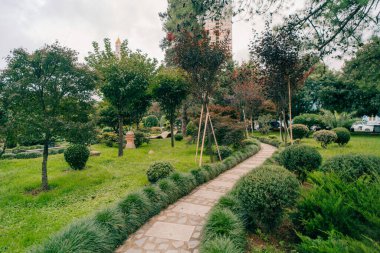 Batum, Gürcistan - 4 Mayıs 2025 Japon bahçesi parkta. Yüksek kalite fotoğraf