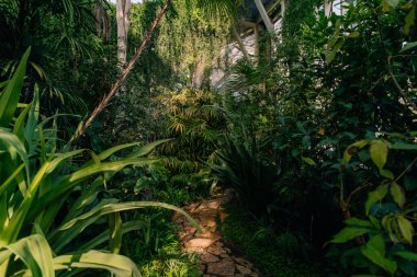 Cenevre 'nin Konservatuar ve Botanik Bahçesi İsviçre' nin Cenevre kentinde bir müzedir. Yüksek kalite fotoğraf