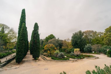Montpellier Botanik Bahçesi, Fransa. Yüksek kalite fotoğraf